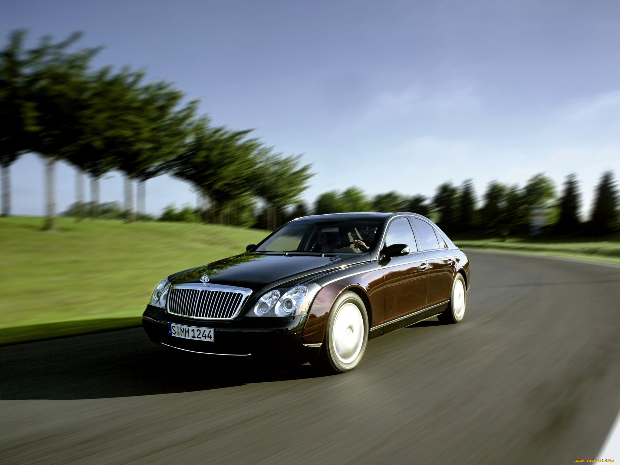 , maybach